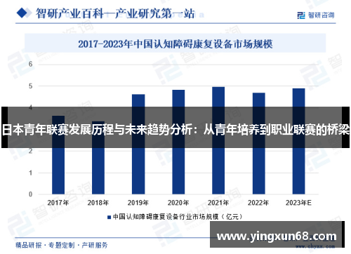 日本青年联赛发展历程与未来趋势分析：从青年培养到职业联赛的桥梁